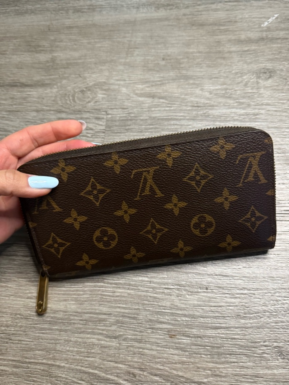 Louis Vuitton Brown Leather Interior Zip Wallet